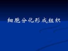 细胞分化形成组织