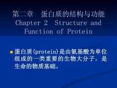 蛋白质的结构与功能