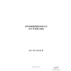 荣丰控股：2010年年度审计报告