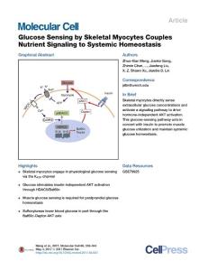 Molecular Cell-2017-Glucose Sensing by Skeletal Myocytes Couples Nutrient Signaling to Systemic Homeostasis