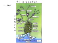 生态工程学（王赞红）第十一章 湿地e