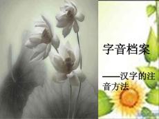 高中语文《字音档案——汉字的注音方法》课件资料合集