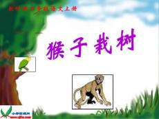 （教科版）二年级语文上册课件 猴子栽树 1