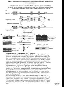 AdPLA ablation increases lipolysis and prevents obesity induced by high fat feeding or leptin deficiency-sul