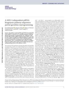 nsmb.3413-A MILI-independent piRNA biogenesis pathway empowers partial germline reprogramming