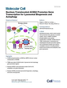 Molecular Cell-2017-Nucleus-Translocated ACSS2 Promotes Gene Transcription for Lysosomal Biogenesis and Autophagy
