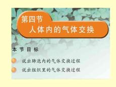 第四节人体内的气体交换课件