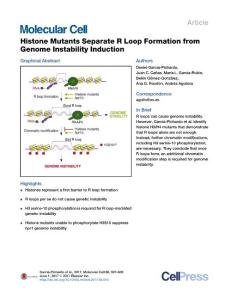 Molecular Cell-2017-Histone Mutants Separate R Loop Formation from Genome Instability Induction