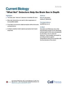Current-Biology_2017_-What-Not-Detectors-Help-the-Brain-See-in-Depth