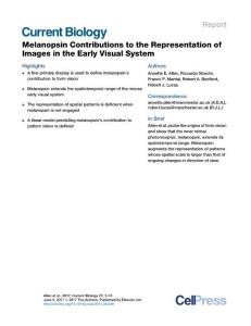 Current-Biology_2017_Melanopsin-Contributions-to-the-Representation-of-Images-in-the-Early-Visual-System