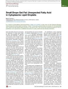 Cell-Chemical-Biology_2016_Small-Drops-Get-Fat-Unexpected-Fatty-Acid-in-Cytoplasmic-Lipid-Droplets