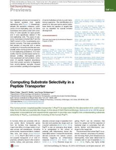 Cell-Chemical-Biology_2016_Computing-Substrate-Selectivity-in-a-Peptide-Transporter