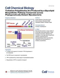 Cell-Chemical-Biology_2016_Trehalose-Polyphleates-Are-Produced-by-a-Glycolipid-Biosynthetic-Pathway-Conserved-across-Phylogenetically-Distant-Mycobact