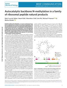 nchembio.2393-Autocatalytic backbone N-methylation in a family of ribosomal peptide natural products