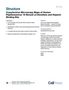 Structure_2017_Cryoelectron-Microscopy-Maps-of-Human-Papillomavirus-16-Reveal-L2-Densities-and-Heparin-Binding-Site
