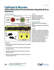 Cell-Host-Microbe_2016_A-Slow-Maturation-Process-Renders-Hepatitis-B-Virus-Infectious