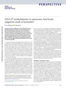 nsmb.3412-DNA N6-methyladenine in metazoans- functional epigenetic mark or bystander