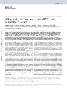 nsmb.3420-Rif1 maintains telomeres and mediates DNA repair by encasing DNA ends