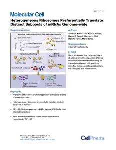 Molecular Cell-2017-Heterogeneous Ribosomes Preferentially Translate Distinct Subpools of mRNAs Genome-wide