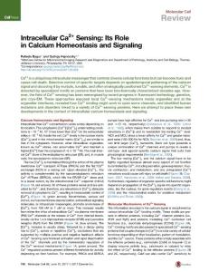 Molecular Cell-2017-Intracellular Ca2+ Sensing Its Role in Calcium Homeostasis and Signaling