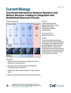 Current-Biology_2017_Functional-Interactions-between-Newborn-and-Mature-Neurons-Leading-to-Integration-into-Established-Neuronal-Circuits
