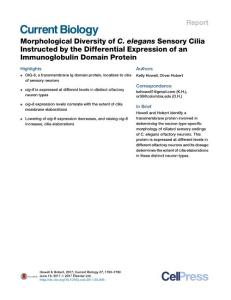 Current-Biology_2017_Morphological-Diversity-of-C-elegans-Sensory-Cilia-Instructed-by-the-Differential-Expression-of-an-Immunoglobulin-Domain-Protein