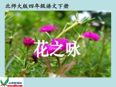 北师大版四年级语文下册《花之咏》PPT课件