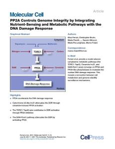 Molecular Cell-2017-PP2A Controls Genome Integrity by Integrating Nutrient-Sensing and Metabolic Pathways with the DNA Damage Response