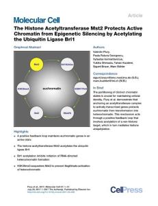 Molecular Cell-2017-The Histone Acetyltransferase Mst2 Protects Active Chromatin from Epigenetic Silencing by Acetylating the Ubiquitin Ligase Brl1