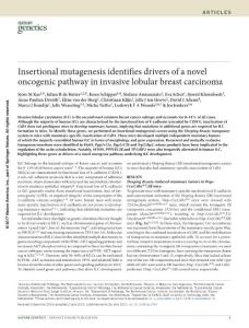 ng.3905-Insertional mutagenesis identifies drivers of a novel oncogenic pathway in invasive lobular breast carcinoma