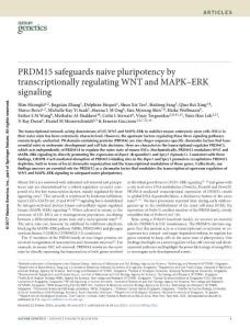 ng.3922-PRDM15 safeguards naive pluripotency by transcriptionally regulating WNT and MAPK–ERK signaling