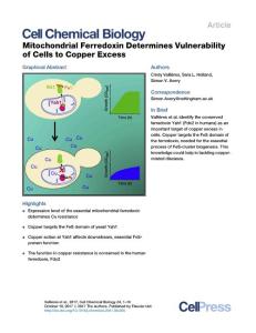 Cell-Chemical-Biology_2017_Mitochondrial-Ferredoxin-Determines-Vulnerability-of-Cells-to-Copper-Excess