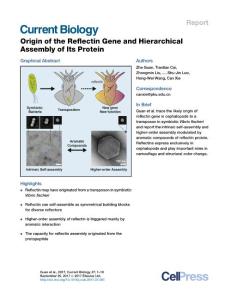 Current-Biology_2017_Origin-of-the-Reflectin-Gene-and-Hierarchical-Assembly-of-Its-Protein