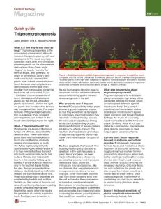 Current-Biology_2017_Thigmomorphogenesis