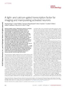 nbt.3909-A light- and calcium-gated transcription factor for imaging and manipulating activated neurons