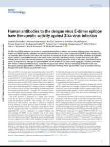 ni.3849-Human antibodies to the dengue virus E-dimer epitope have therapeutic activity against Zika virus infection