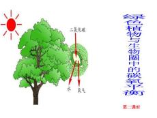 绿色植物与生物圈中的碳氧平衡