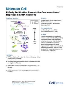 Molecular-Cell_2017_P-Body-Purification-Reveals-the-Condensation-of-Repressed-mRNA-Regulons