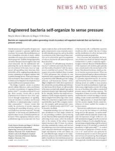 nbt.3992-Engineered bacteria self-organize to sense pressure