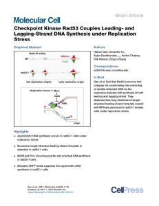 Molecular-Cell_2017_Checkpoint-Kinase-Rad53-Couples-Leading-and-Lagging-Strand-DNA-Synthesis-under-Replication-Stress