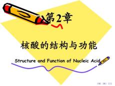 第02章核酸的结构与功能