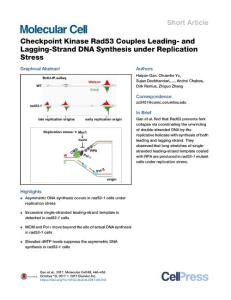 Checkpoint-Kinase-Rad53-Couples-Leading--and-Lagging-Strand-DN_2017_Molecula