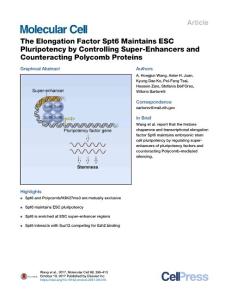 The-Elongation-Factor-Spt6-Maintains-ESC-Pluripotency-by-Contro_2017_Molecul