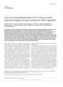 ncb3631-Class III phosphatidylinositol-3-OH kinase controls epithelial integrity through endosomal LKB1 regulation