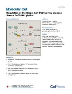 Regulation-of-the-Hippo-YAP-Pathway-by-Glucose-Sensor-O-Glc_2017_Molecular-C