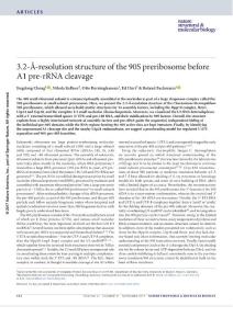 nsmb.3476-3.2-Å-resolution structure of the 90S preribosome before A1 pre-rRNA cleavage