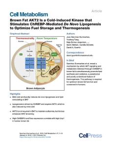 Brown-Fat-AKT2-Is-a-Cold-Induced-Kinase-that-Stimulates-ChREBP-_2017_Cell-Me