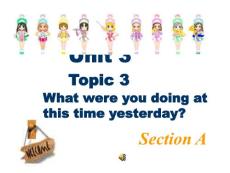 八年级英语上册Unit3 Topic 3 Section A 2课件湘教版