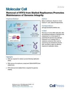 Removal-of-RTF2-from-Stalled-Replisomes-Promotes-Maintenance_2017_Molecular-