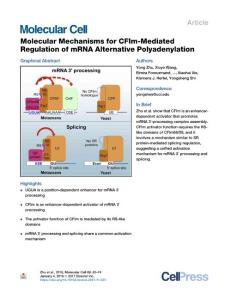 Molecular-Mechanisms-for-CFIm-Mediated-Regulation-of-mRNA-Alt_2018_Molecular